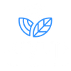 Layup